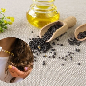 Dầu Hạt Cải Úc Hưởng Lợi Từ Nhu Cầu Dầu Thực Vật & Nhiên Liệu Sinh Học