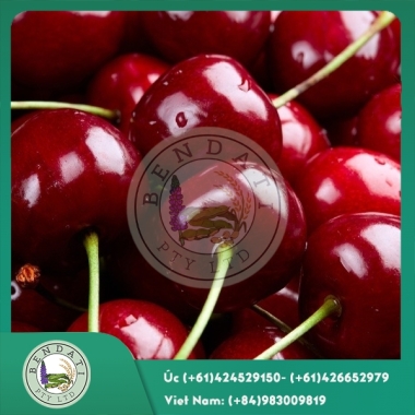 Cherry Úc
