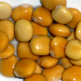 Đậu Lupin – Nguyên Liệu Protein Cao Cấp Trong Xu Hướng Thực Phẩm Lành Mạnh